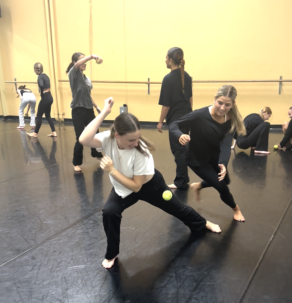 Why Do We Need Physical/Movement Literacy in Dance Training & Education?